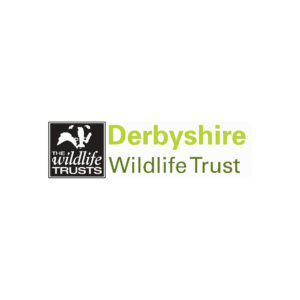 Derbyshire Wildlife logo