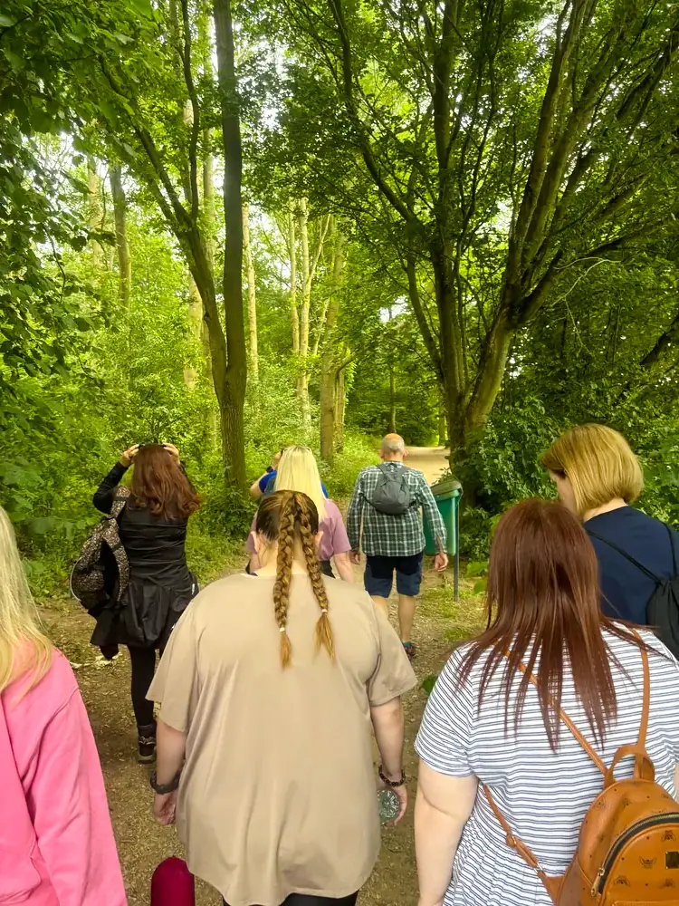 Walkers along a tree-lined track